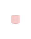 Bottle Bumper Guard - Small